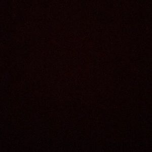 Meet your Posher, Rose